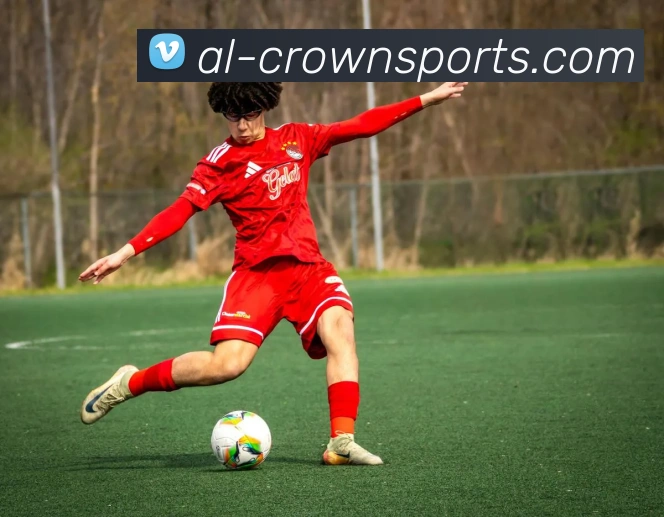 皇冠体育官网发展历程